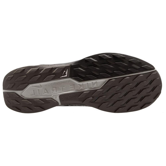Nike Pegasus Trail 5 Gore-Tex